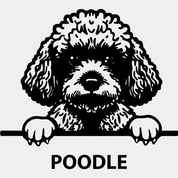 poodle  Miniaturansicht