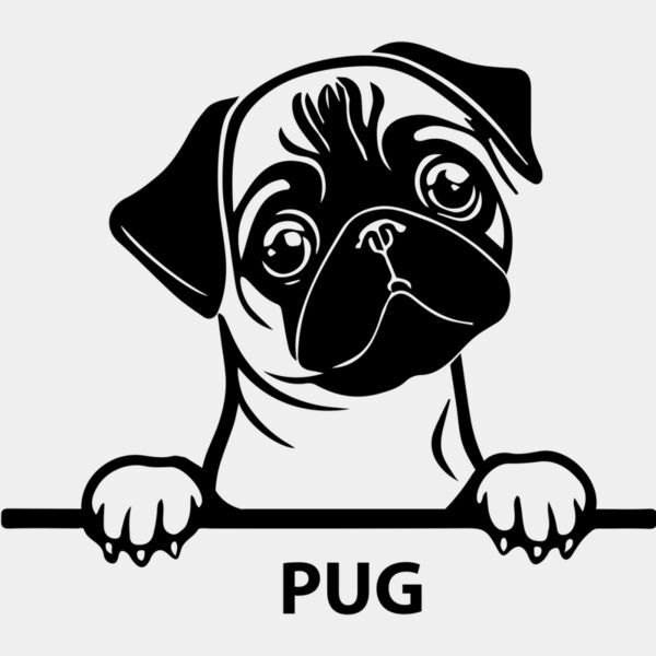 pug 1  Miniaturansicht
