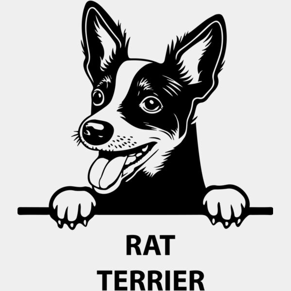 rat terrier  Miniaturansicht