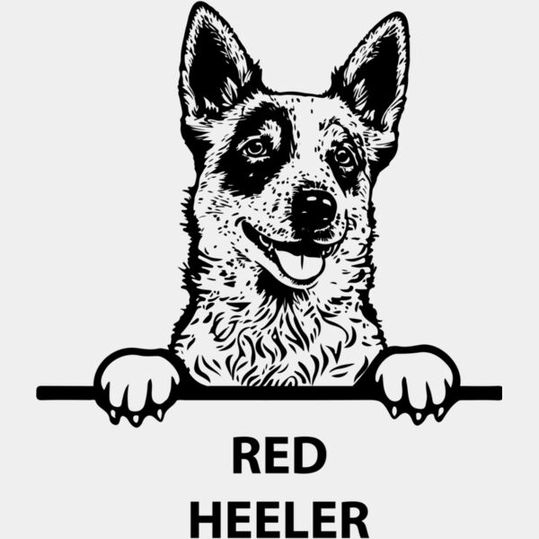 red heeler  Miniaturansicht