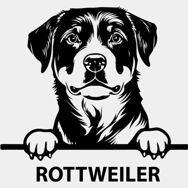 rottweiler 1  Miniaturansicht