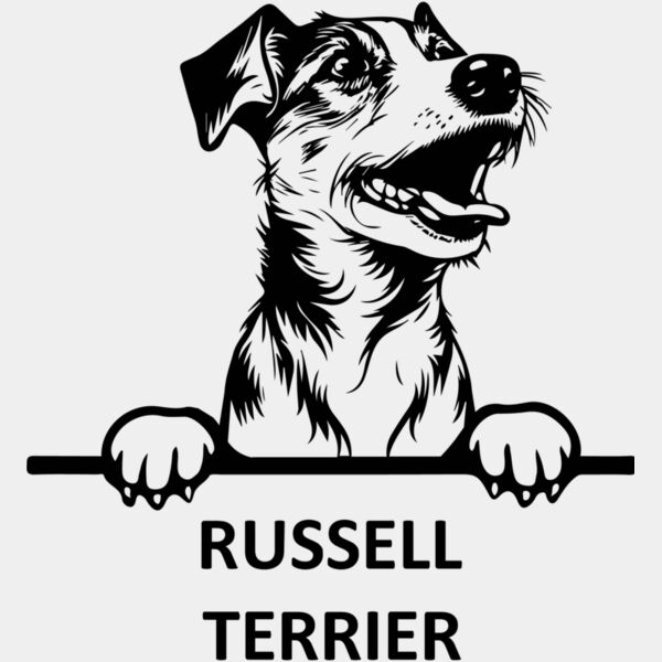 russell terrier 3  Miniaturansicht