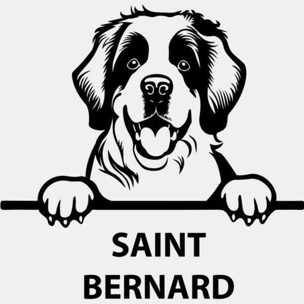 saint bernard  Miniaturansicht