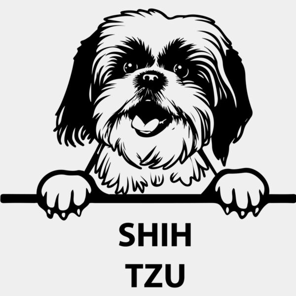 shih tzu  Miniaturansicht