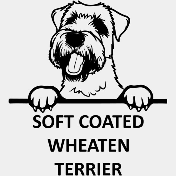 soft coated wheaten terrier  Miniaturansicht