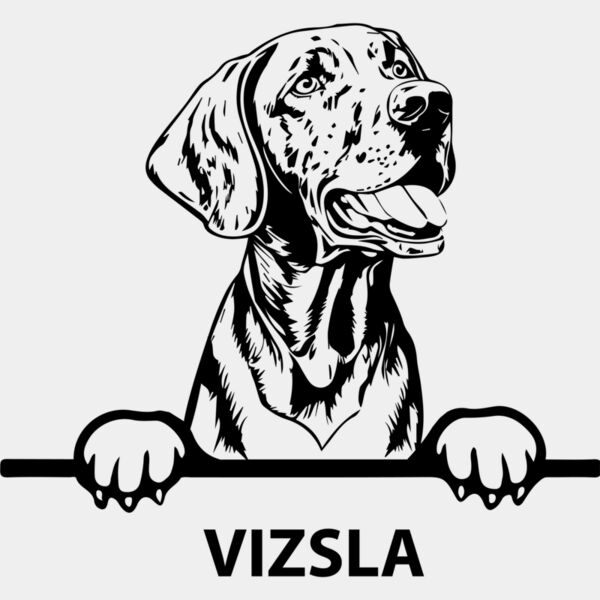 vizsla  Miniaturansicht