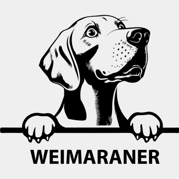weimaraner  Miniaturansicht