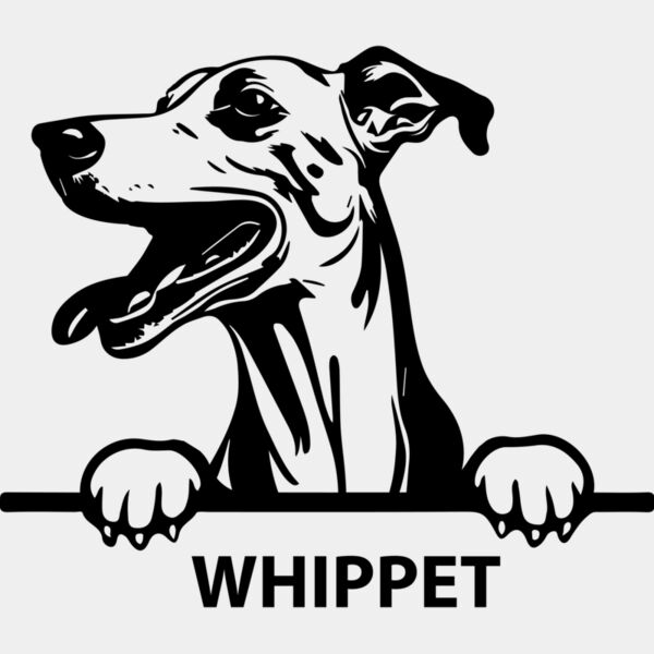 whippet  Miniaturansicht