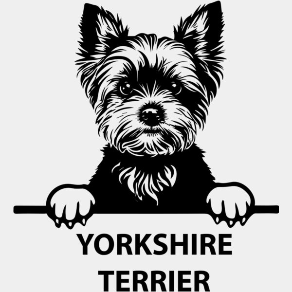 yorkshire terrier 1  Miniaturansicht