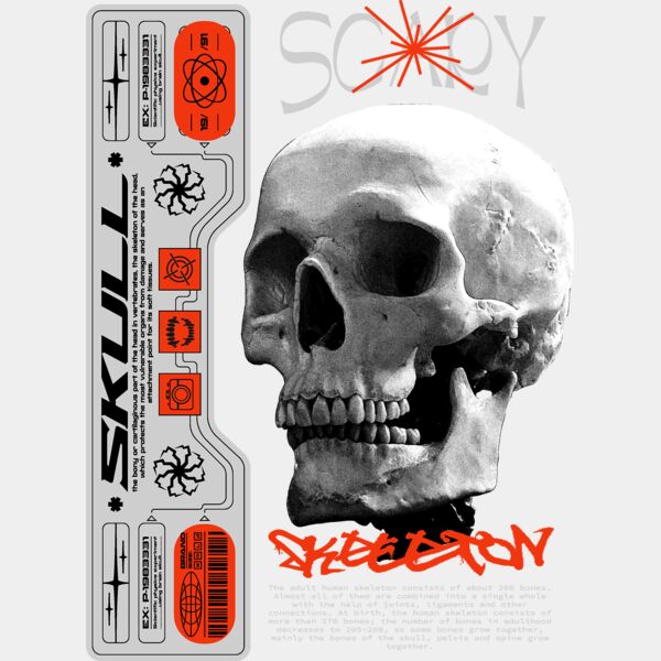 Skull Skeleton Miniaturansicht