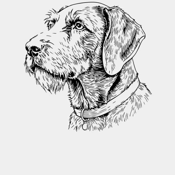 Jagdhund Miniaturansicht