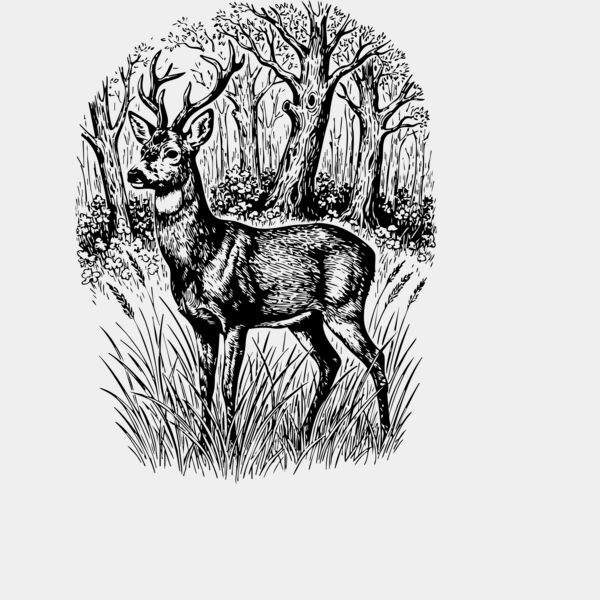 Rehbock Miniaturansicht