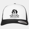 Flexfit Retro Trucker Cap 2-Tone Miniaturansicht